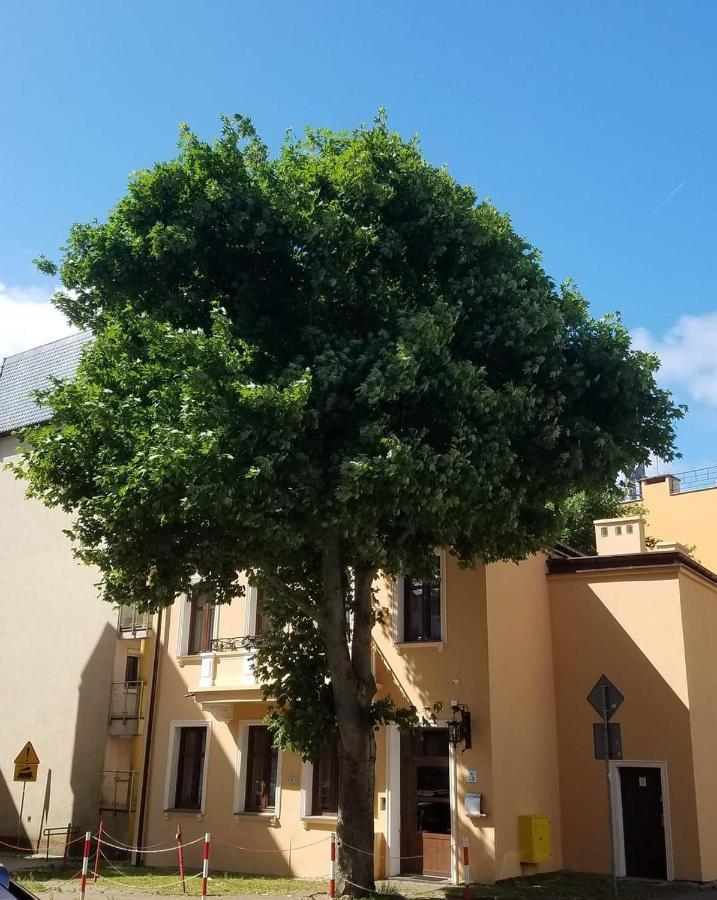 Apartamenty Na Cichej 5 A4 كولوبرزيغ المظهر الخارجي الصورة